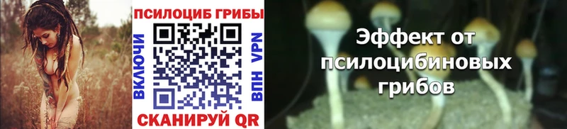 где купить Макушино Галлюциногенные грибы Cubensis